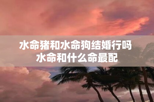 水命猪和水命狗结婚行吗 水命和什么命最配