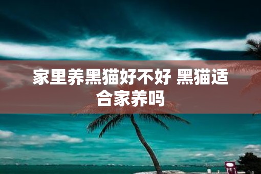 家里养黑猫好不好 黑猫适合家养吗
