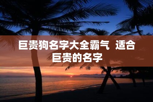 巨贵狗名字大全霸气  适合巨贵的名字
