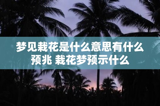 梦见栽花是什么意思有什么预兆 栽花梦预示什么