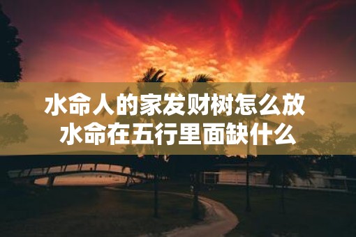 水命人的家发财树怎么放 水命在五行里面缺什么