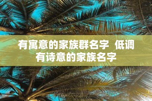 有寓意的家族群名字  低调有诗意的家族名字