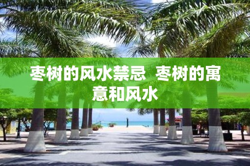 枣树的风水禁忌  枣树的寓意和风水