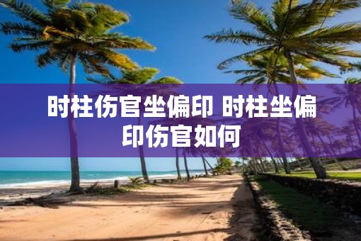 时柱伤官坐偏印 时柱坐偏印伤官如何