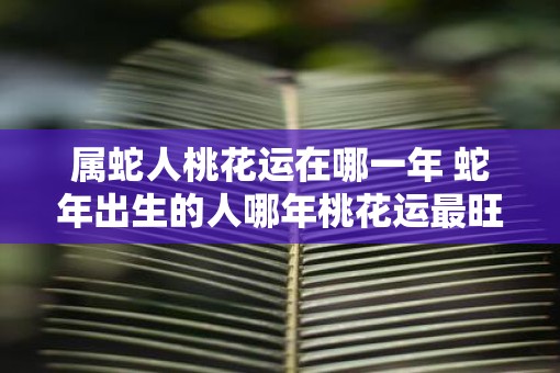属蛇人桃花运在哪一年 蛇年出生的人哪年桃花运最旺