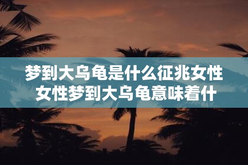 梦到大乌龟是什么征兆女性 女性梦到大乌龟意味着什么