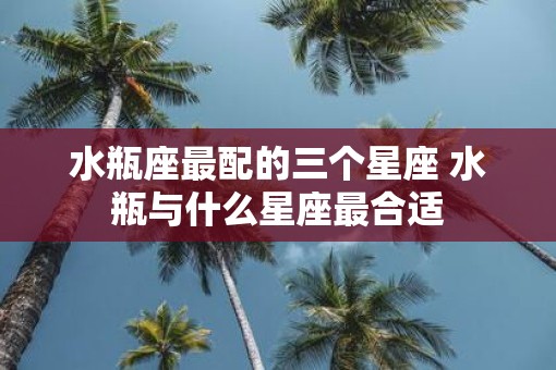 水瓶座最配的三个星座 水瓶与什么星座最合适