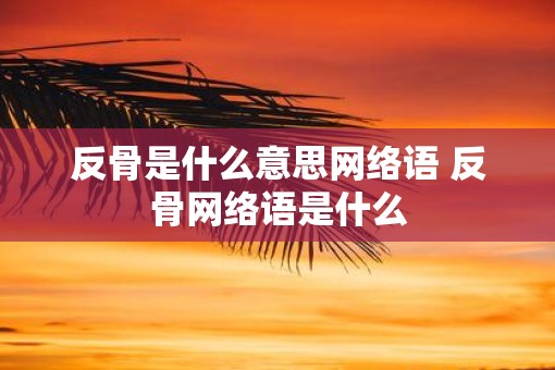 反骨是什么意思网络语 反骨网络语是什么 反骨是什么意思网络语 反骨网络语是什么