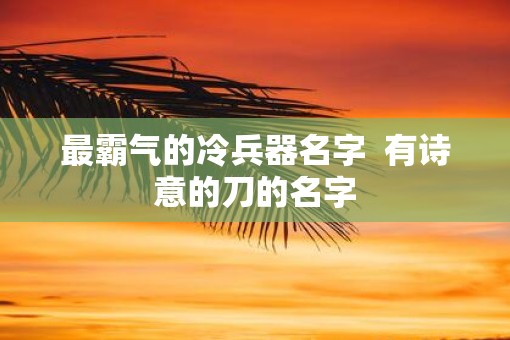 最霸气的冷兵器名字  有诗意的刀的名字