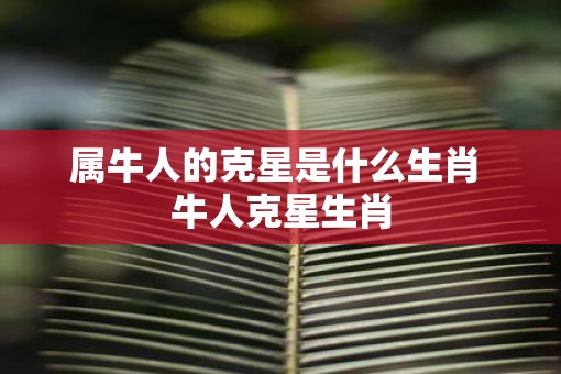 属牛人的克星是什么生肖 牛人克星生肖