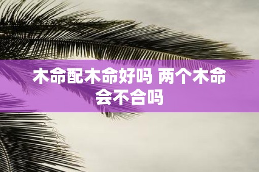 木命配木命好吗 两个木命会不合吗