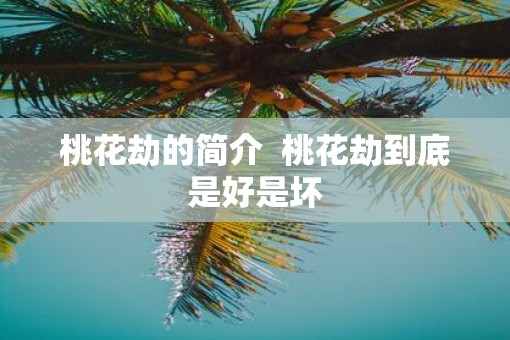 桃花劫的简介  桃花劫到底是好是坏