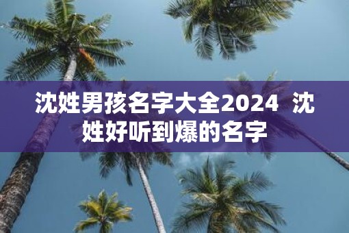 沈姓男孩名字大全2024  沈姓好听到爆的名字