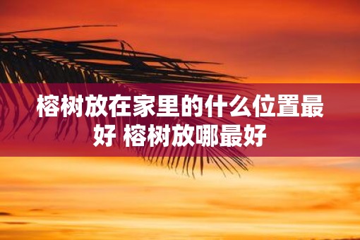 榕树放在家里的什么位置最好 榕树放哪最好