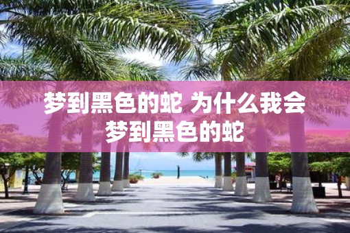 梦到黑色的蛇 为什么我会梦到黑色的蛇