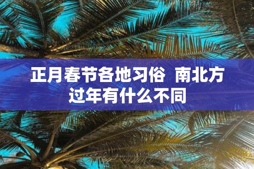 正月春节各地习俗  南北方过年有什么不同