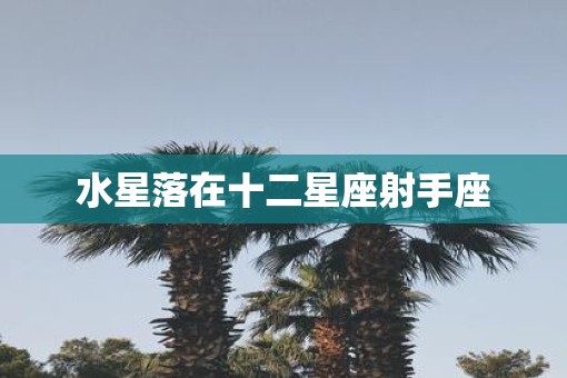 水星落在十二星座射手座