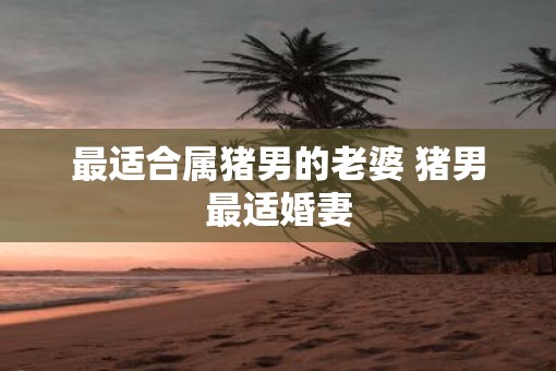 最适合属猪男的老婆 猪男最适婚妻