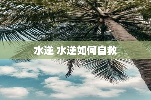 水逆 水逆如何自救