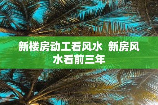 新楼房动工看风水  新房风水看前三年