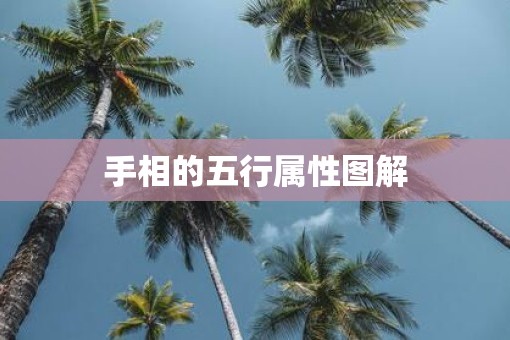 手相的五行属性图解