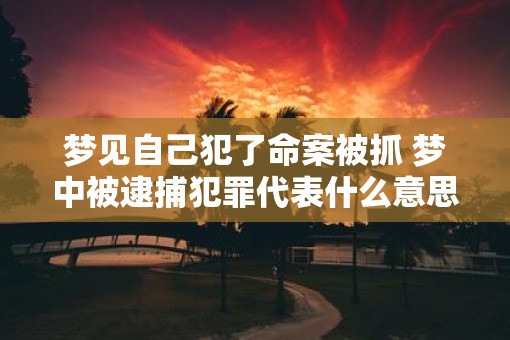 梦见自己犯了命案被抓 梦中被逮捕犯罪代表什么意思