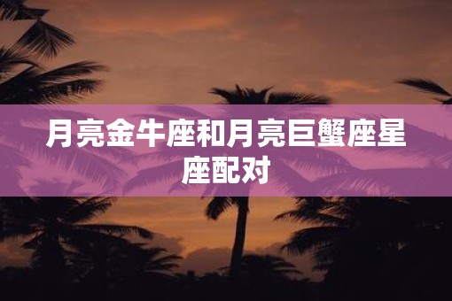 月亮金牛座和月亮巨蟹座星座配对