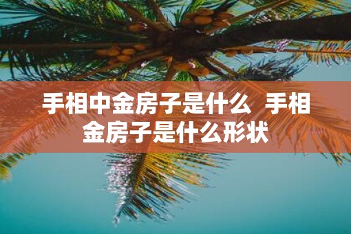 手相中金房子是什么  手相金房子是什么形状