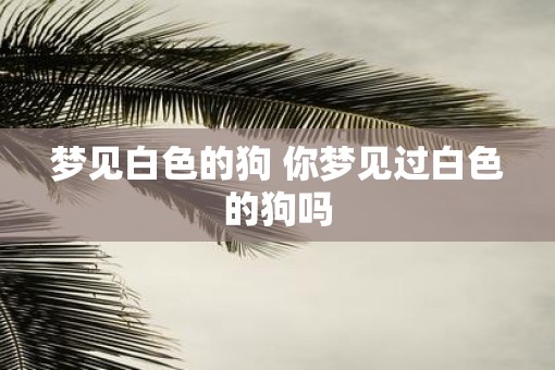 梦见白色的狗 你梦见过白色的狗吗