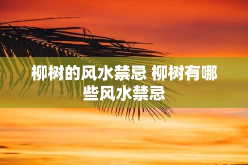 柳树的风水禁忌 柳树有哪些风水禁忌