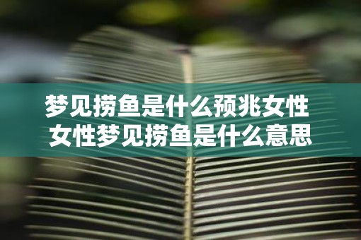 梦见捞鱼是什么预兆女性 女性梦见捞鱼是什么意思