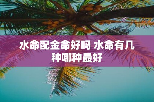 水命配金命好吗 水命有几种哪种最好