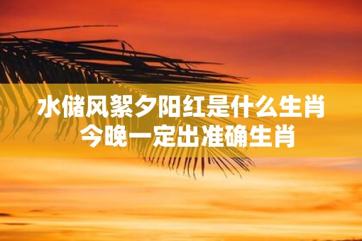 水储风絮夕阳红是什么生肖  今晚一定出准确生肖