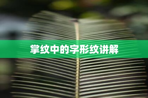 掌纹中的字形纹讲解