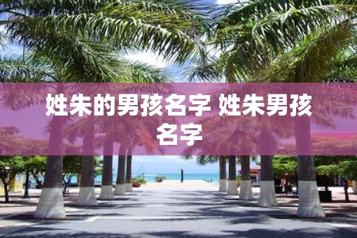 姓朱的男孩名字 姓朱男孩名字