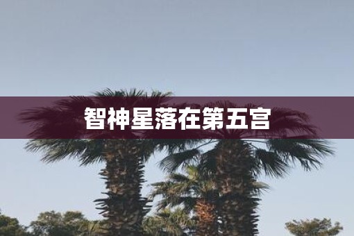 智神星落在第五宫
