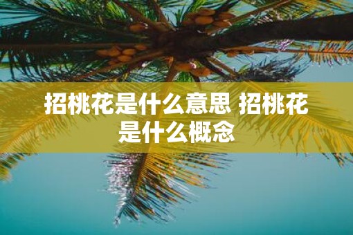 招桃花是什么意思 招桃花是什么概念