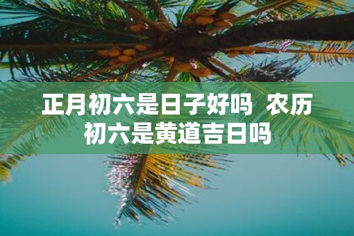 正月初六是日子好吗  农历初六是黄道吉日吗