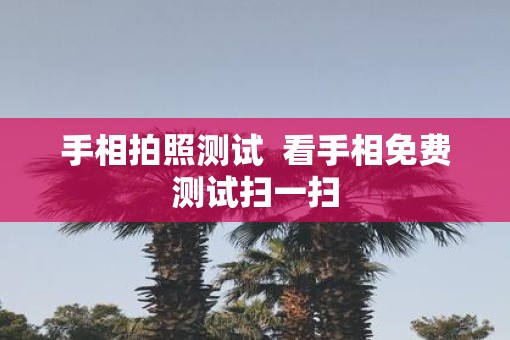 手相拍照测试  看手相免费测试扫一扫
