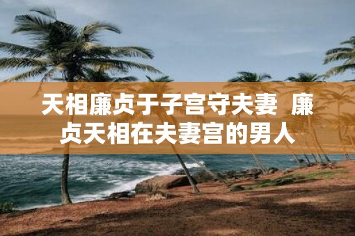 天相廉贞于子宫守夫妻  廉贞天相在夫妻宫的男人