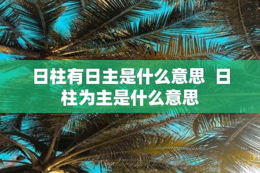 日柱有日主是什么意思  日柱为主是什么意思