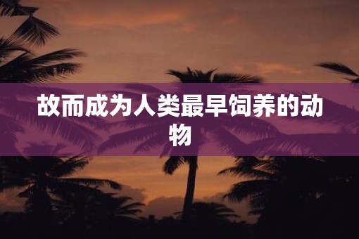 故而成为人类最早饲养的动物