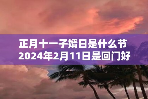 正月十一子婿日是什么节 2025年2月11日是回门好日子吗