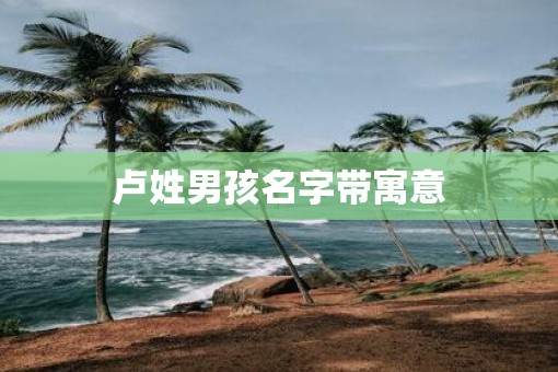 卢姓男孩名字带寓意