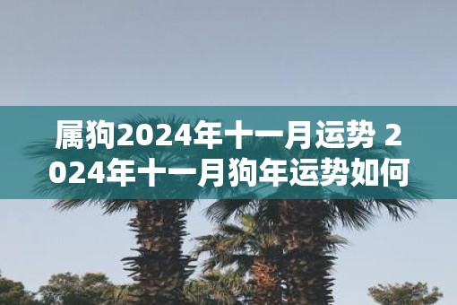 属狗2025年十一月运势 2025年十一月狗年运势如何