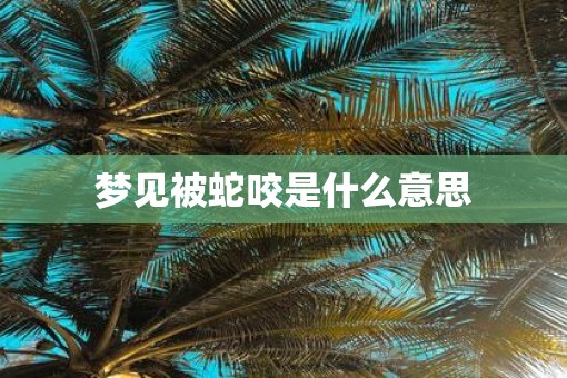 梦见被蛇咬是什么意思
