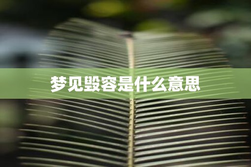 梦见毁容是什么意思