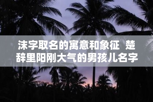 沫字取名的寓意和象征  楚辞里阳刚大气的男孩儿名字