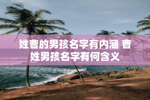姓曹的男孩名字有内涵 曹姓男孩名字有何含义