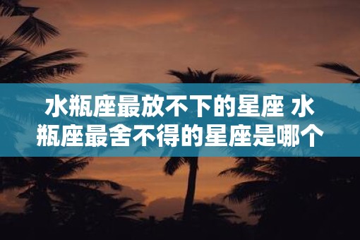 水瓶座最放不下的星座 水瓶座最舍不得的星座是哪个